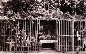 Misserghin - Grotte de la Vierge N.D. de Lourdes - 10